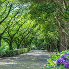 稲城中央公園