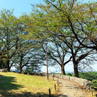 周辺環境、丘の上広場公園